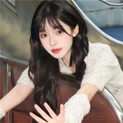 鸽之翼