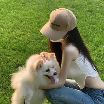 来自收容所的爱