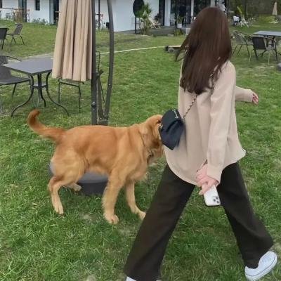 柳营春色